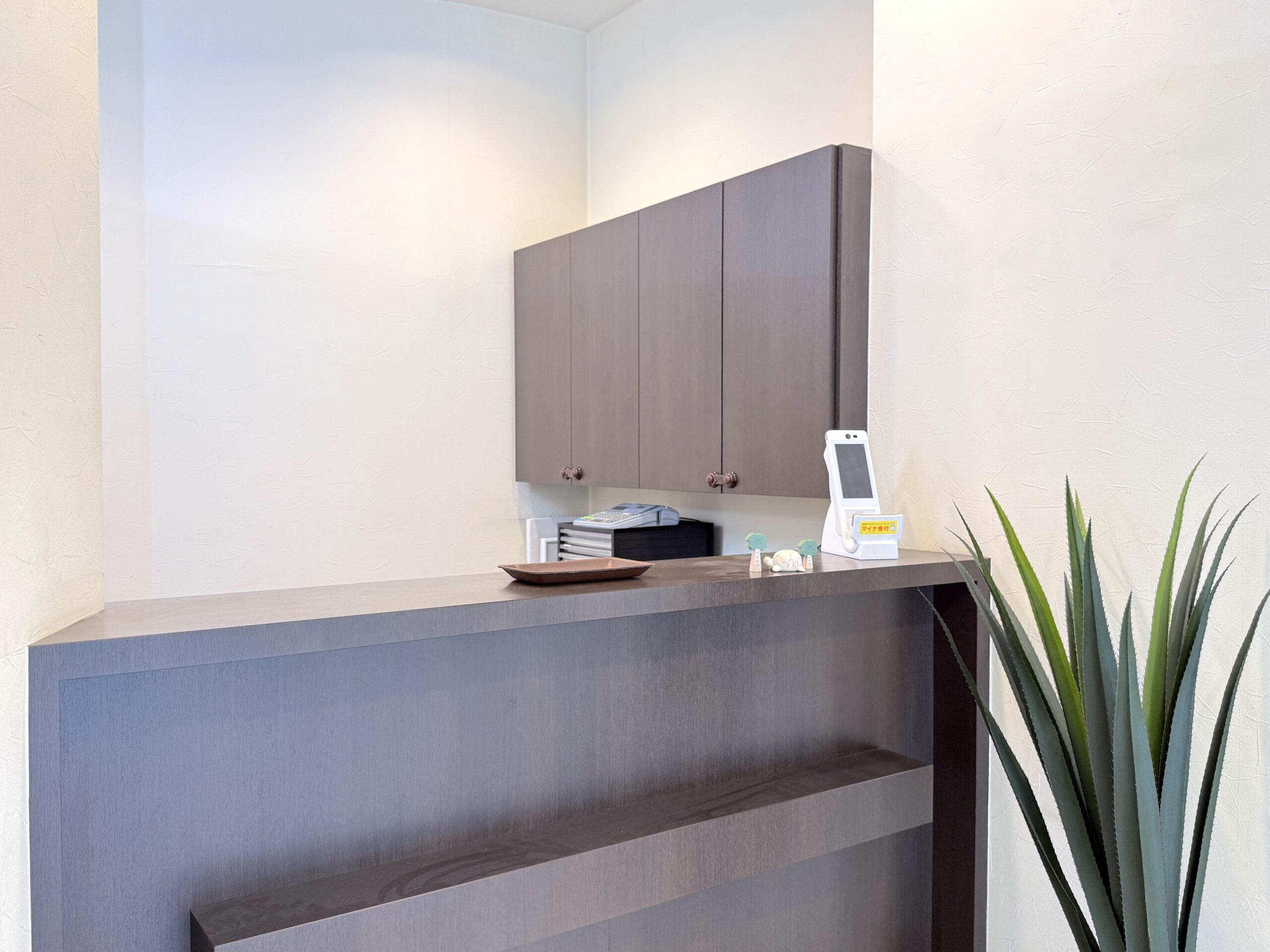 メインビジュアル01（PC）